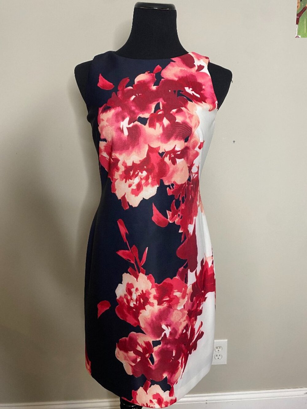 NWT Lauren Ralph Lauren Floral Sleeveless A-Line Dress Sz 8P